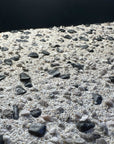 Terrazzo & Shells丨Granulated Concrete Wall Decorative Terrazzo