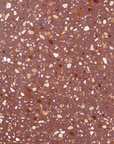 Style Selection | Small Grain Terrazzo Decorative Panel