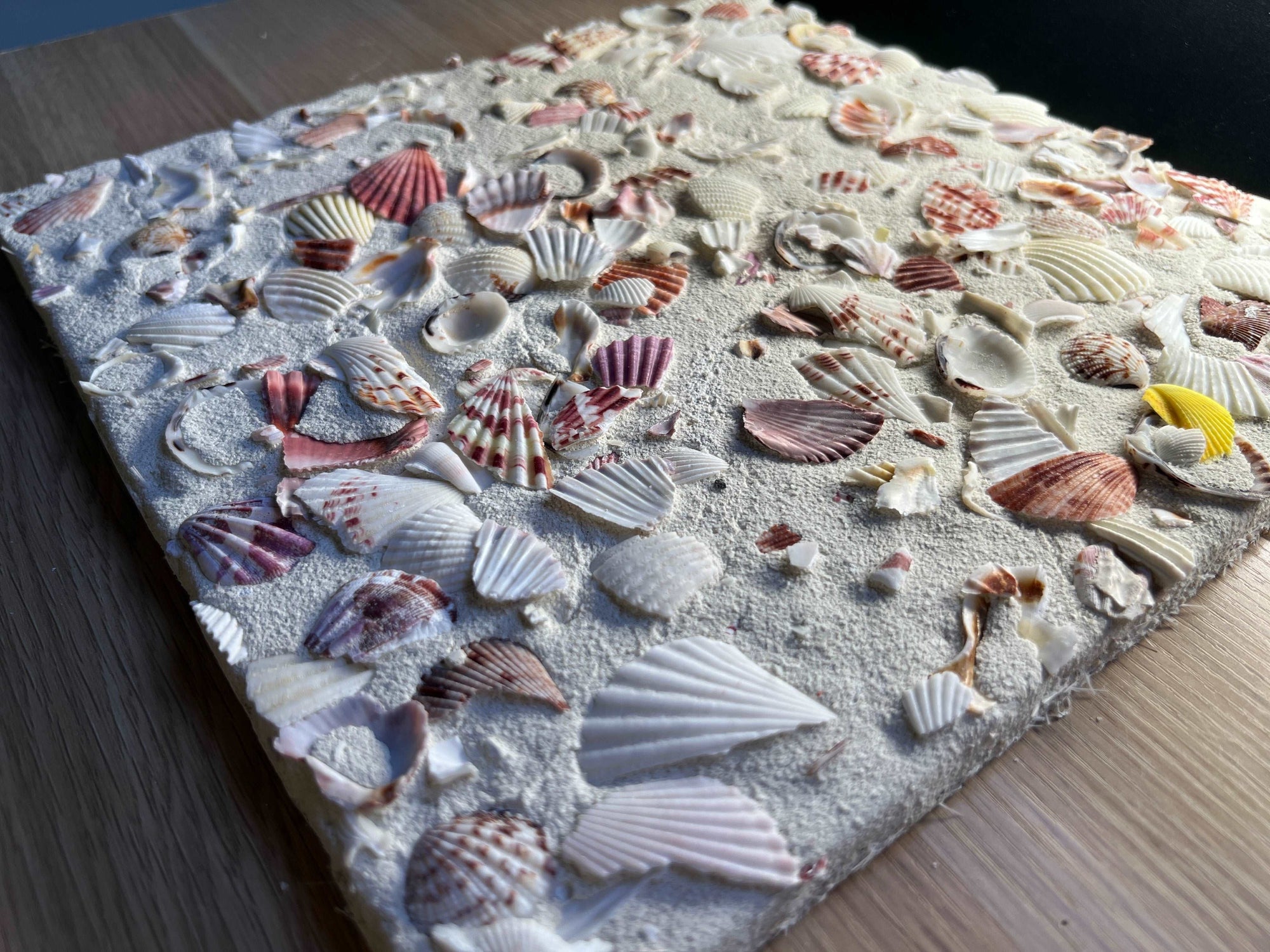 Terrazzo & Shells丨Granulated Concrete Wall Decorative Terrazzo