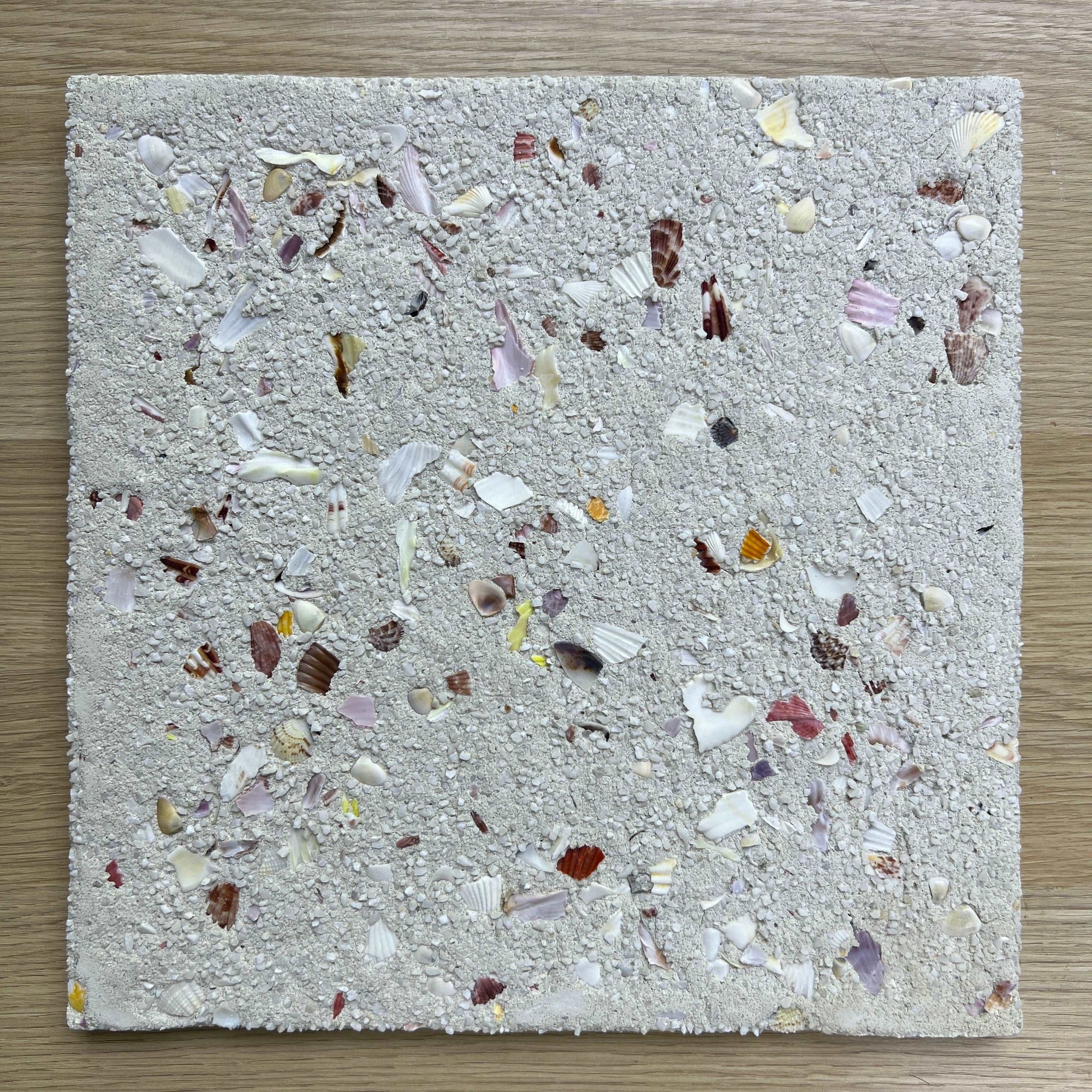 Terrazzo &amp; Shells丨Granulated Concrete Wall Decorative Terrazzo