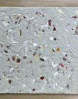 Terrazzo & Shells丨Granulated Concrete Wall Decorative Terrazzo