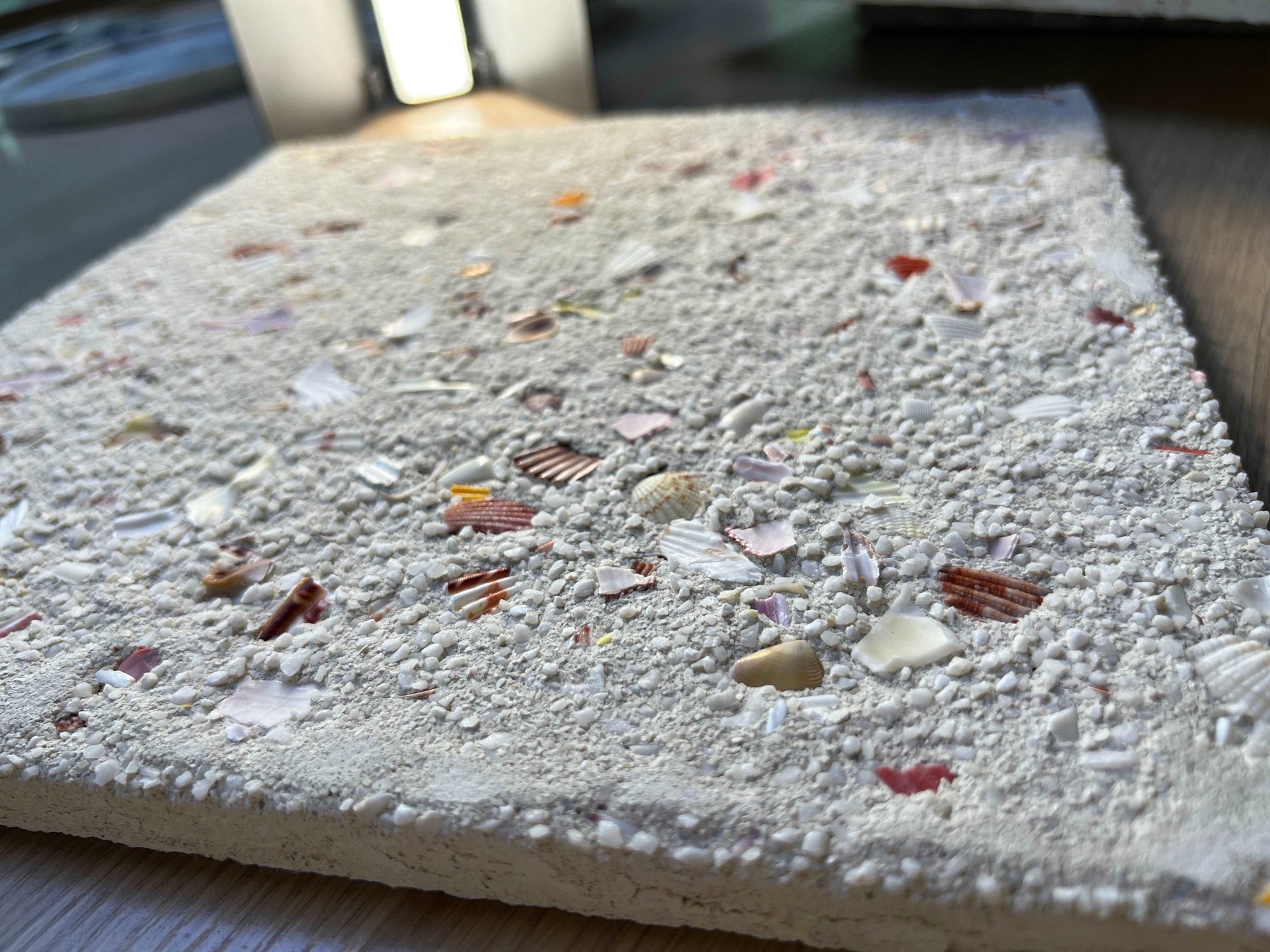 Terrazzo &amp; Shells丨Granulated Concrete Wall Decorative Terrazzo