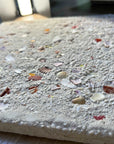 Terrazzo & Shells丨Granulated Concrete Wall Decorative Terrazzo