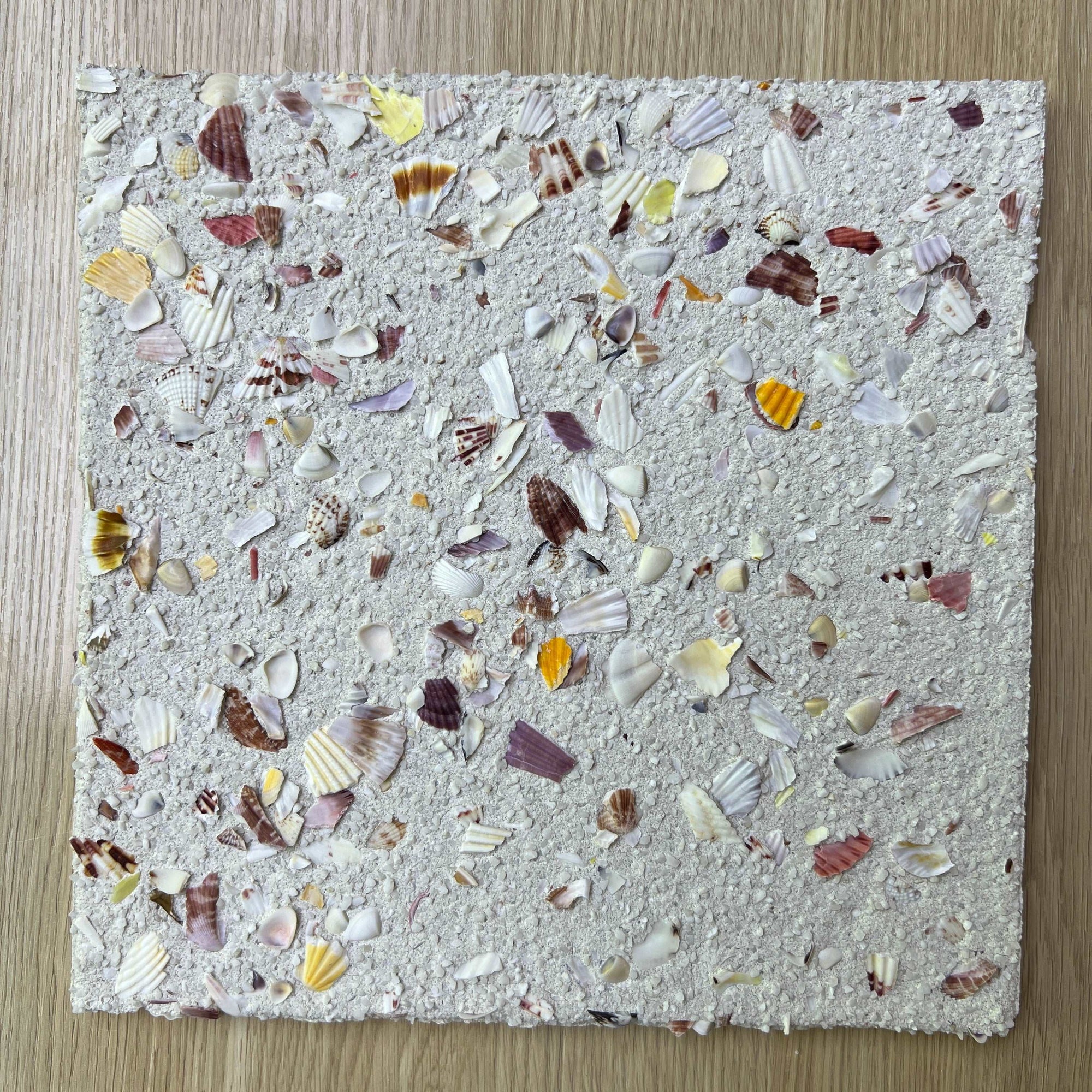 Terrazzo &amp; Shells丨Granulated Concrete Wall Decorative Terrazzo